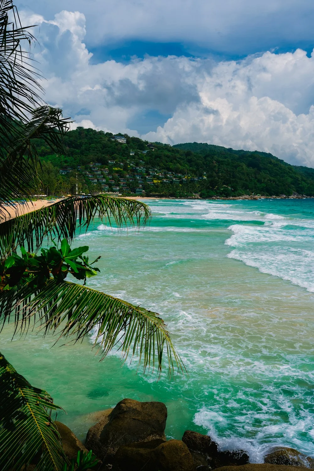 Palm-lined tropical shore and clear turquoise water